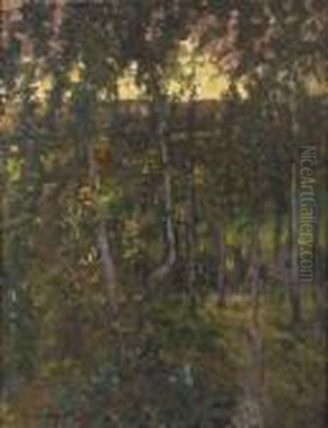 Sommarkvall - view 1