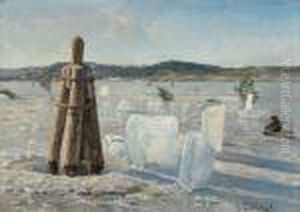 Vinterdag Vid Grangarde - Dalarna