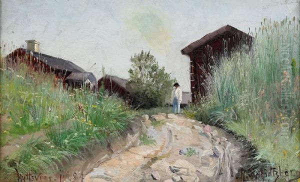 Vagen Genom Akrarna - view 1