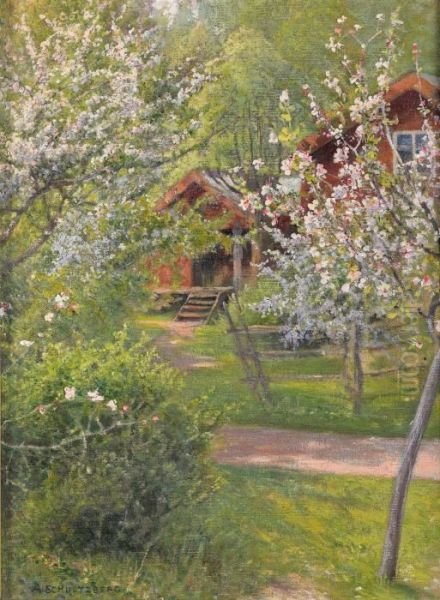 Sommarlandskap Med Blommande Frukttrad - view 1