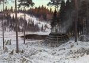 Skymning Vid Kolmilan