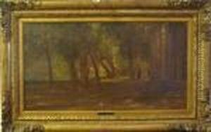 Skog. Skog.