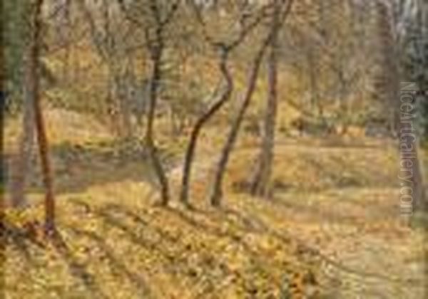 Varsol - Motiv Fran Blockhusudden - view 1
