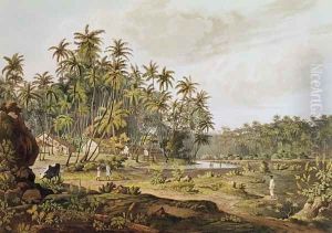 View near Point du Galle, Ceylon, engraved by Daniel Havell 1785-1826 published in 1809 by Henry Salt
