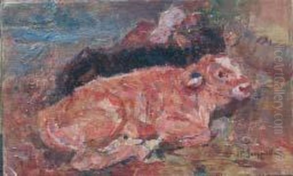 Mucche Nella Stalla - view 1