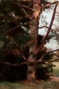 Albero by Eugenio Scorzelli