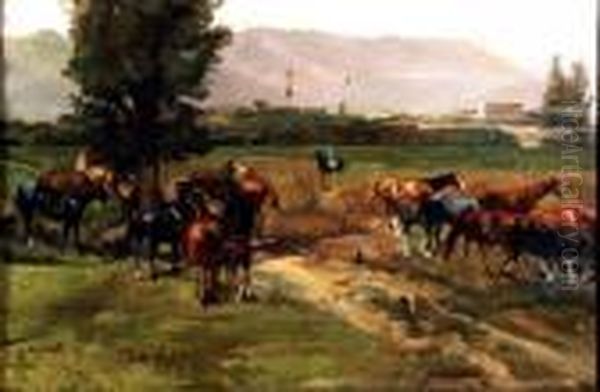 Cavalli Al Pascolo - view 1