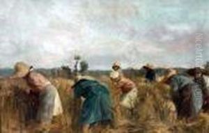 La Raccolta Del Grano