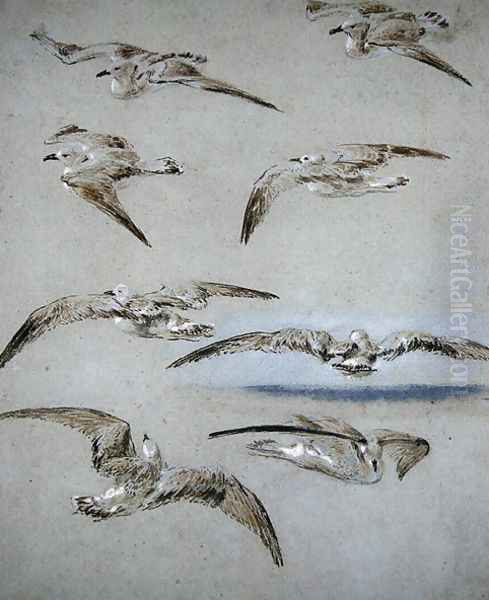 Seven Seagulls - view 1