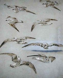 Seven Seagulls Seven Seagulls