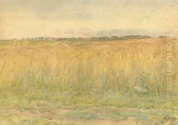 Cornfield - view 1