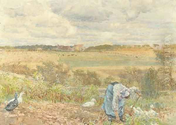 Digging potatoes - view 1