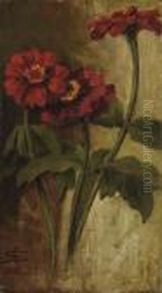 Zinnie Rosse - view 1