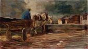 Uomo Su Un Carretto Mentre Fa Abbeverare Il Cavallo Uomo Su Un Carretto Mentre Fa Abbeverare Il Cavallo