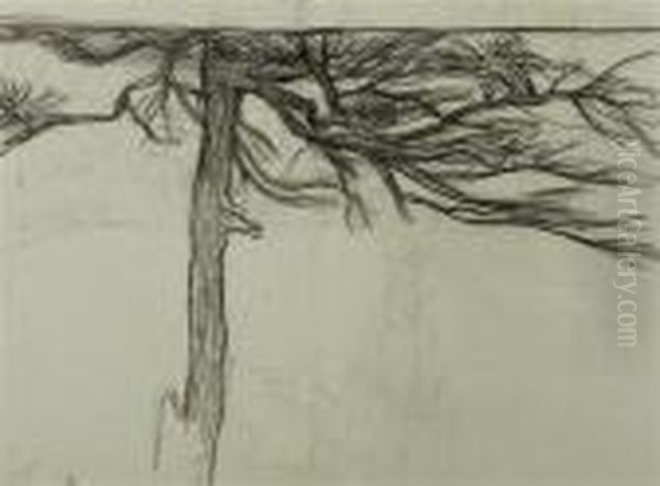 Study Of A Tree. Circa1898. - view 1