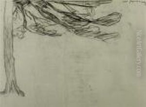 Study Of A Tree. Circa 1898. Study Of A Tree. Circa 1898.