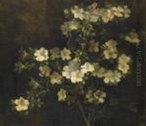 Pianta Di Azalea by Giovanni Segantini