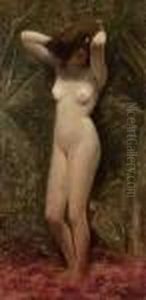 Nudo Femminile In Piedi Nudo Femminile In Piedi
