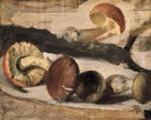 Stilleben Mit Pilzen