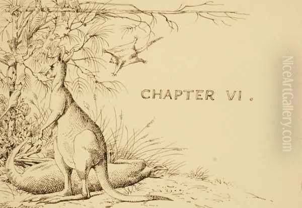 Illustration for chapter 6 of the artists story Cooey or The Trackers of Glenferry, c.1876 - view 1