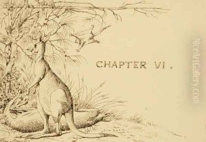 Illustration for chapter 6 of the artists story Cooey or The Trackers of Glenferry, c.1876