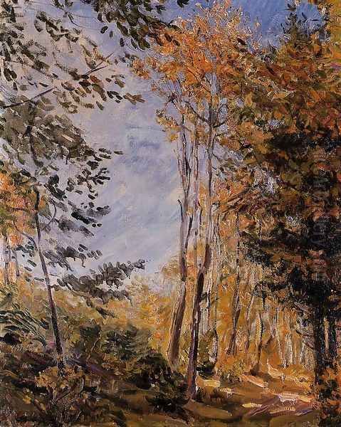 Herbstwald - view 1