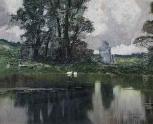 Swanson A Pond Swanson A Pond