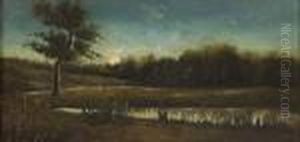 Paesaggio Fluviale Di Notte