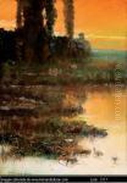 Untitled - view 1