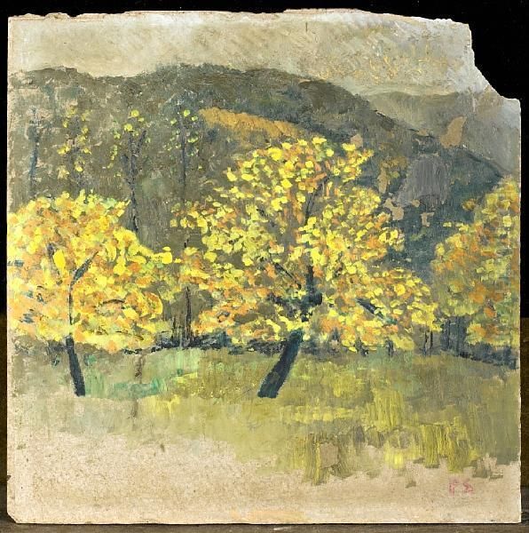 Paysage - view 1