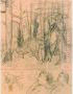 Foret, Profils (feuille D'etudes) Foret, Profils (feuille D'etudes)