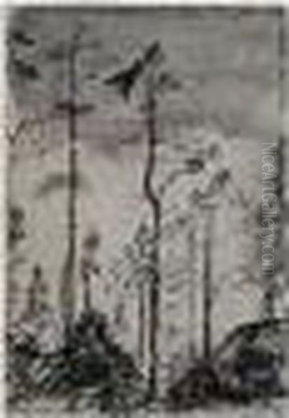 Etude D'arbres - view 1