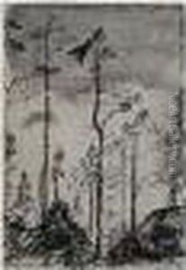Etude D'arbres Etude D'arbres