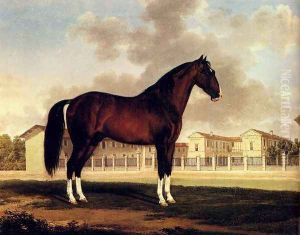 A Bay Hunter In A Landscape With Buildings Beyond by Caroline Von Schlieben