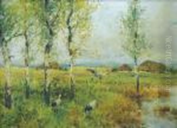Bociany - view 1