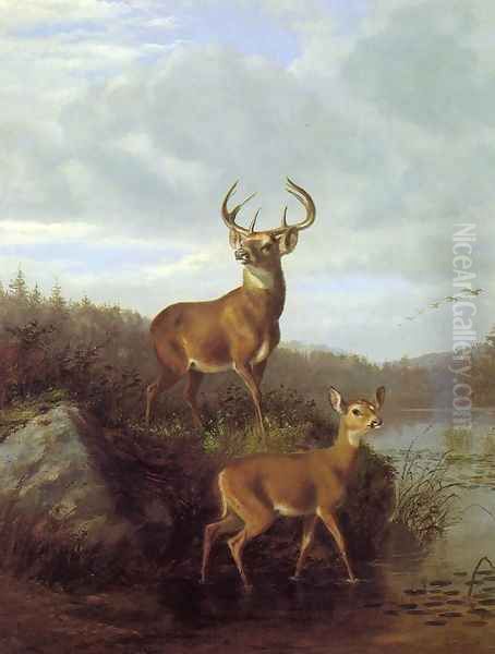 Title Unknown - view 1