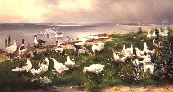 Geese - view 1
