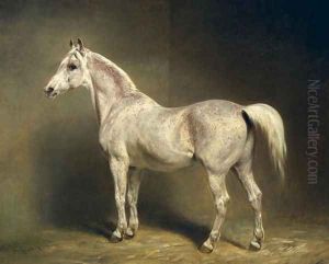 Beatrice, the white arab saddlehorse of Helmuth Graf von Moltke, 1855
