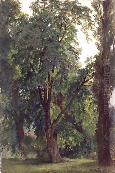Wood in Konigswusterhausen - view 1