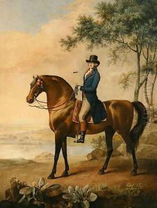 Warren Hastings on his Arabian Horse, 1796 by George Townley Stubbs