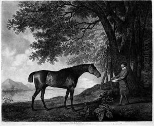 Sharke, engraved by George Townley Stubbs 1756-1815 pub. 1794 Sharke, engraved by George Townley Stubbs 1756-1815 pub. 1794
