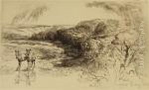 Encombe Woods, No. 11