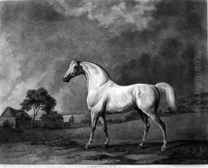 Mambrino, engraved by George Townley Stubbs 1756-1815 pub. 1794 by George Townley Stubbs