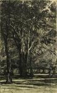 Kensington Garden, No. Ii (large Plate) by Sir Francis Seymour Haden