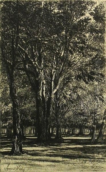 Kensington Garden, No. Ii (large Plate) (h. 28; S. 31), 1860 - view 1