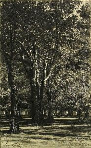 Kensington Garden, No. Ii (large Plate) (h. 28; S. 31), 1860