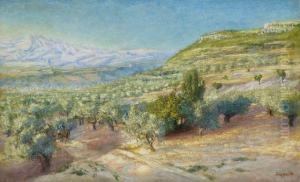 Paysage De Provence Et Paysans Sur La Route - view 1