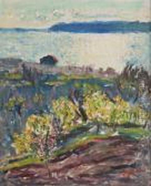 Les Amandiers En Fleurs - view 1