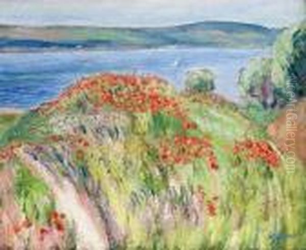 Les Coquelicots - view 1