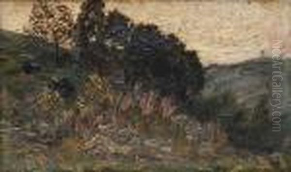 Paysage. - view 1